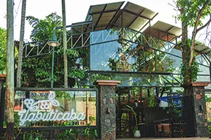 Yabuticaba Mercadito de la Selva