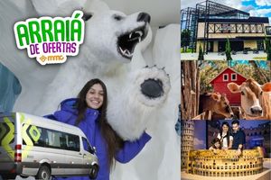 ARRAIÁ DE OFERTAS MMC 2025 - Dreams Day com Transporte