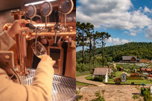 Tour Cervejaria Felsen e Olivas de Gramado